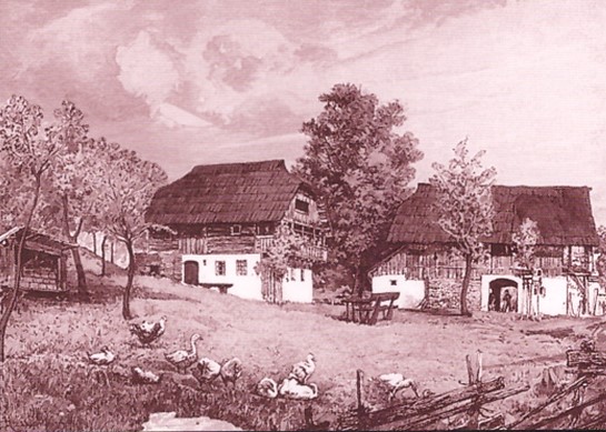Stara fotografija domačije, pred katero stoji lipa